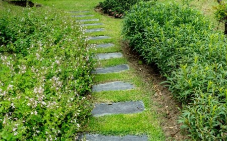 créer une allée de jardin pas chère