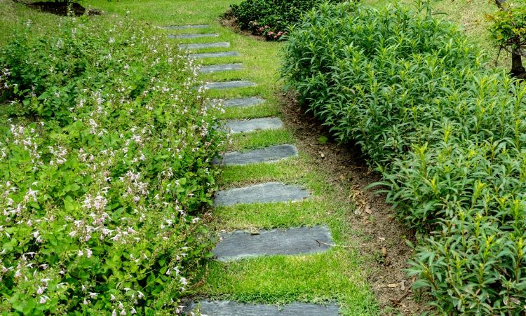 créer une allée de jardin pas chère