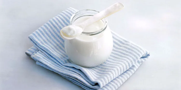 meilleurs aliments probiotiques bienfaits santé intestinale yaourt bulgare nature