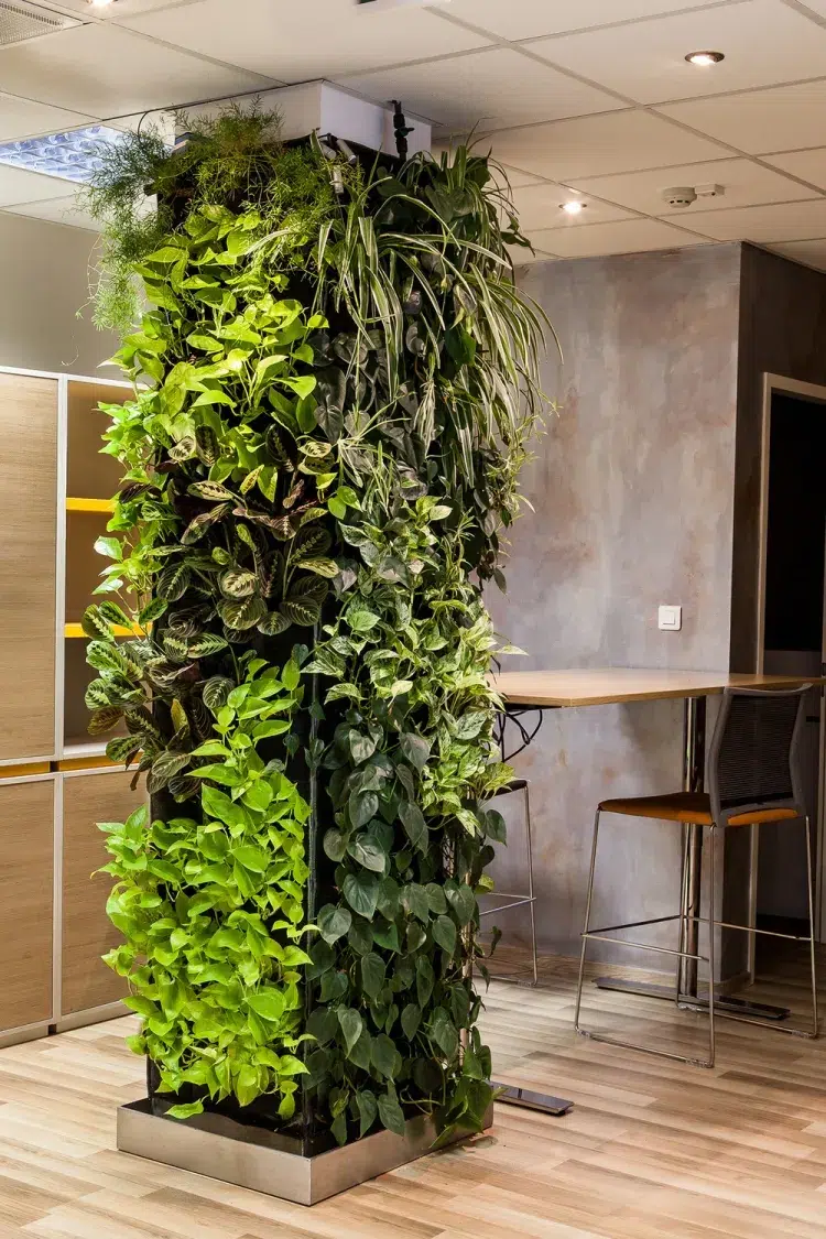 mur vegetalise avec planted qui tolerent l ombre
