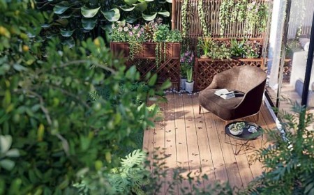 plante pour un balcon nord exposition expose fleurs grimpantes brise vue vent est ouest arbuste arbustes