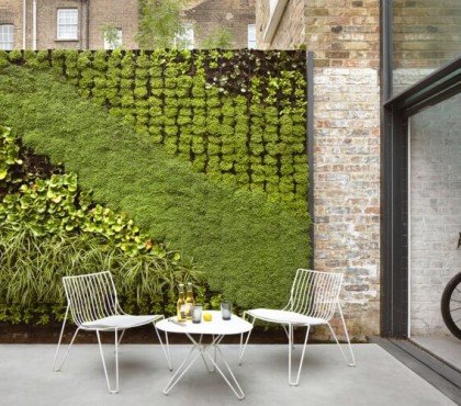 plantes pour mur végétal extérieur