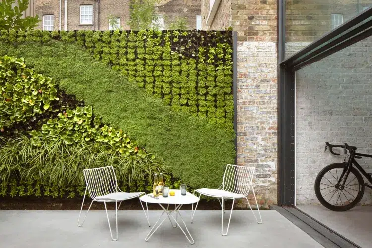 plantes pour mur végétal extérieur