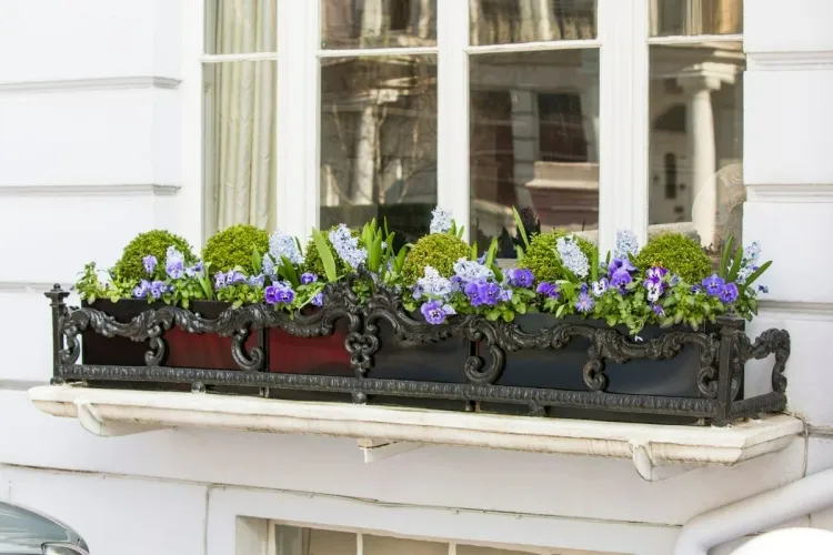 quelles fleurs mettre sur un rebord de fenêtre quels critères choisir plantes extérieur intérieur