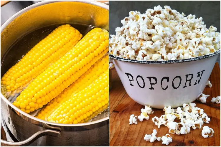 quels sont les bienfaits du mais bouilli soufflé popcorn pour santé