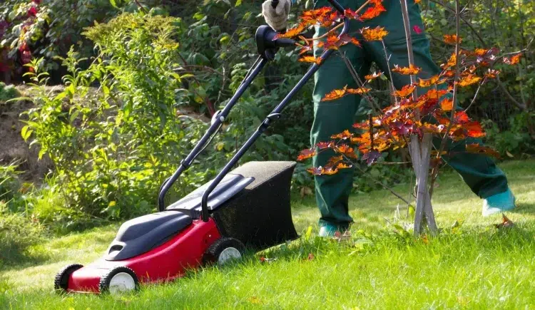 tondre la pelouse erreurs éviter couper trop haut trop bas nuire santé gazon