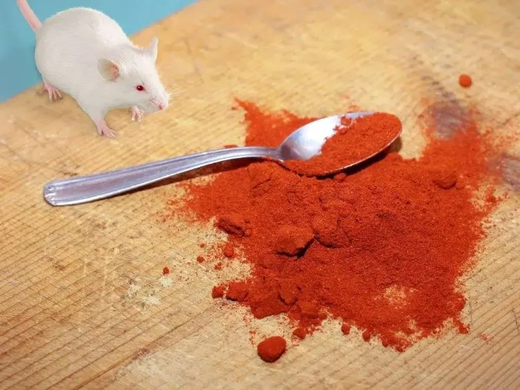 comment utiliser les flocons de piment contre les nuisibles animaux rongeurs rats souris ecureuils jardin maison recette en toute sécurité