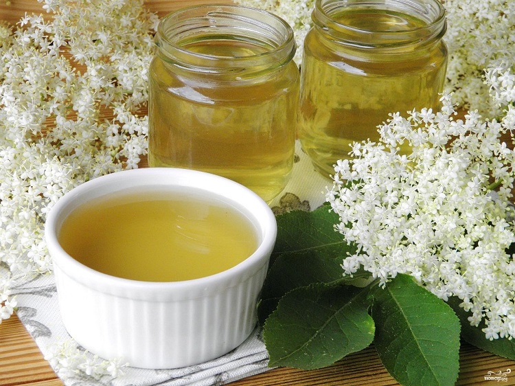 gelée de sureau comment préparer la recette authentique alsacienne