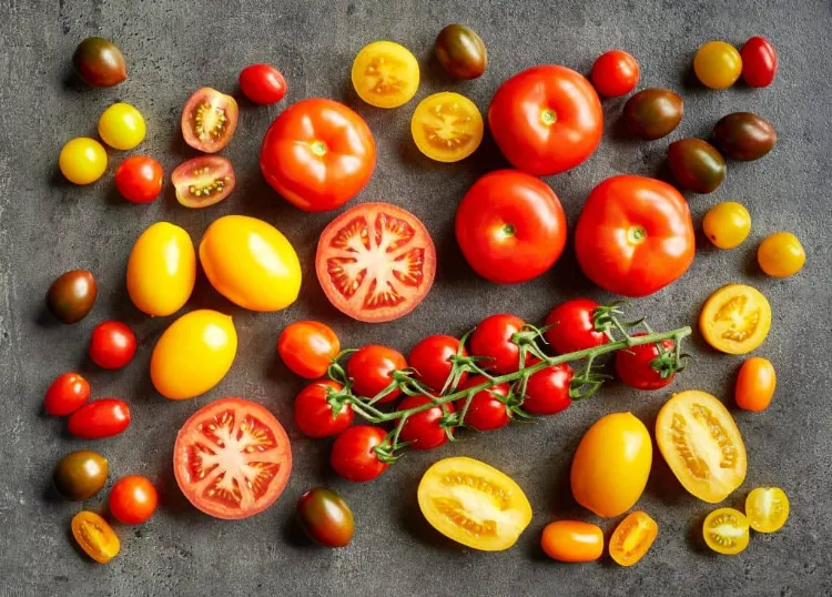 la tomate comment faire baisser la tension aliments naturellement traitement arterielle hypertension cause essentielle symptomes idees conseils