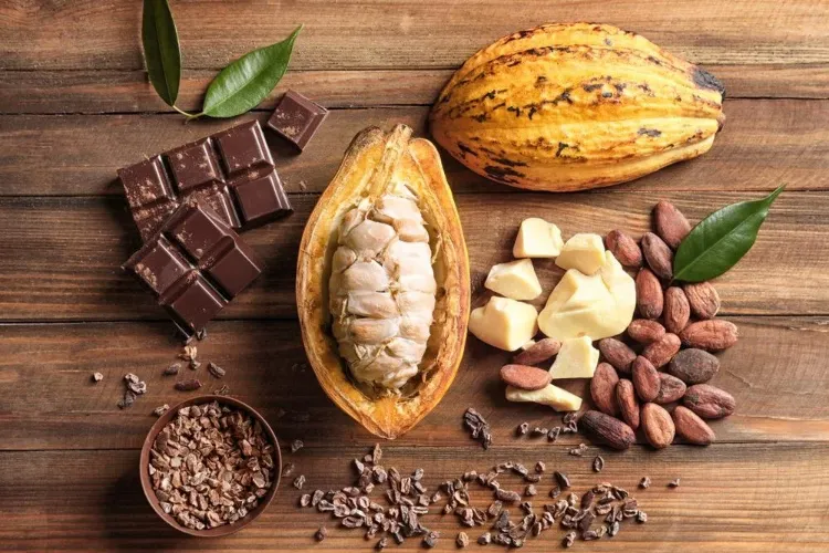 le cacao comment faire baisser la tension aliments naturellement traitement arterielle hypertension cause essentielle symptomes idees conseils
