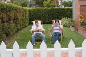 plante brise vue qui pousse vite les espèces les plus épaisses et les plus hautes pour une intimité maximale