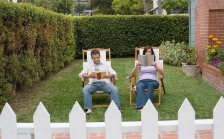 plante brise vue qui pousse vite les espèces les plus épaisses et les plus hautes pour une intimité maximale