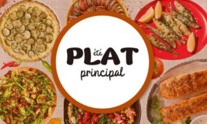recette de plat principal quand il fait chaud 10 idées rafraîchissantes pour combattre la canicule