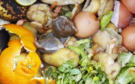 aliment à ne pas mettre au compost quels