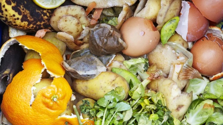 aliment à ne pas mettre au compost quels