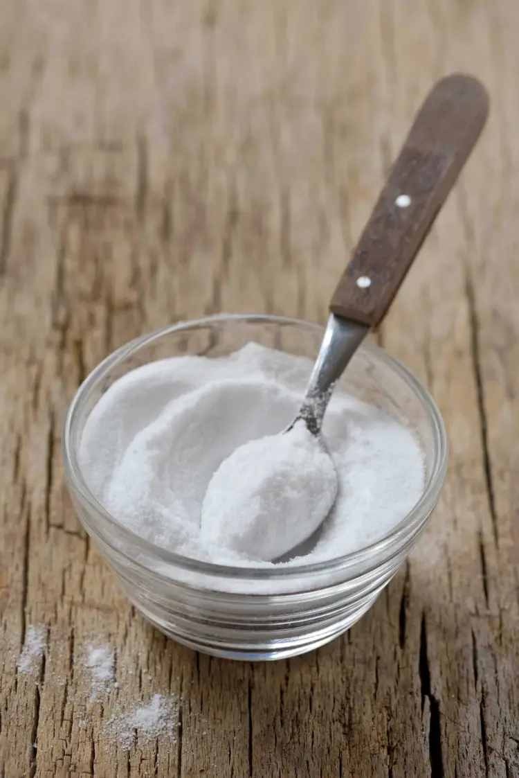 bicarbonate de soude contre les pucerons jardin