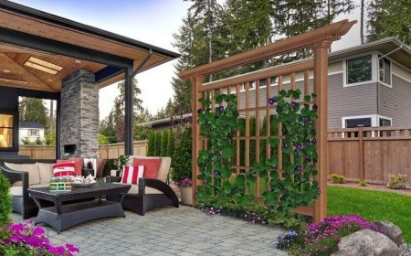 comment cacher un vis a vis au jardin beauté treillis plantes grimpantes