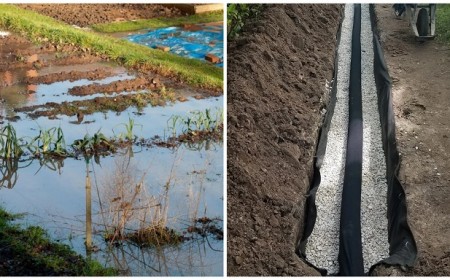 comment éliminer l'eau stagnante du jardin inondé astuces stagnation eau pluie orages france meilleures techniques pour drainer le sol de jardin