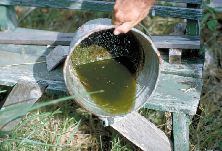 comment empecher prolifération des moustiques au jardin eau de pluie stagnante