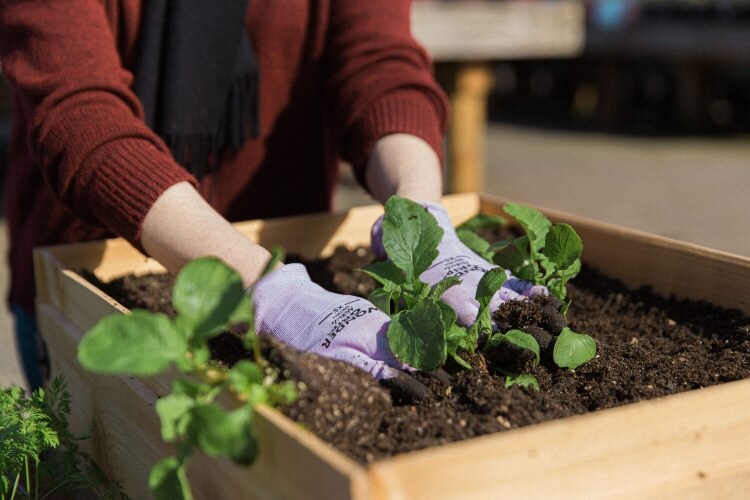 comment faire des bacs pour le potager creuser même profondeur pot origine