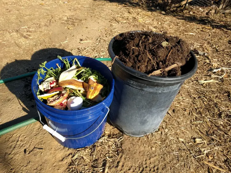 comment faire du compost sans composteur dans un seau
