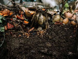 comment faire du compost sans composteur jardin