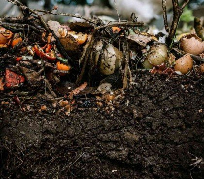 comment faire du compost sans composteur jardin