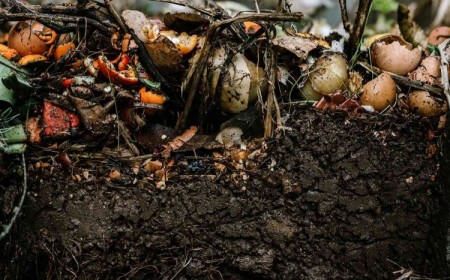 comment faire du compost sans composteur jardin