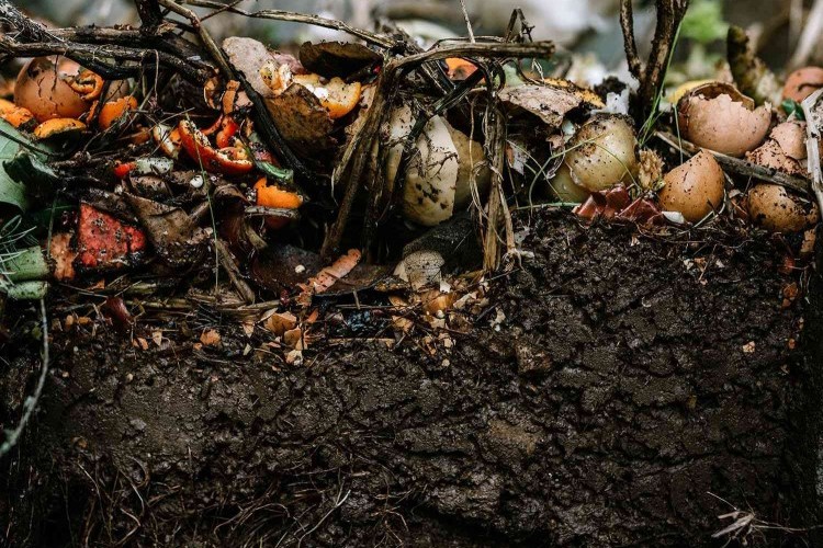 comment faire du compost sans composteur jardin
