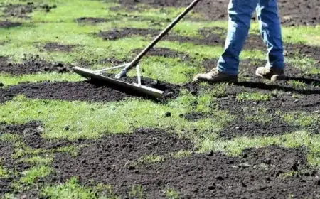 comment mettre du compost pour gazon instructions vidéo