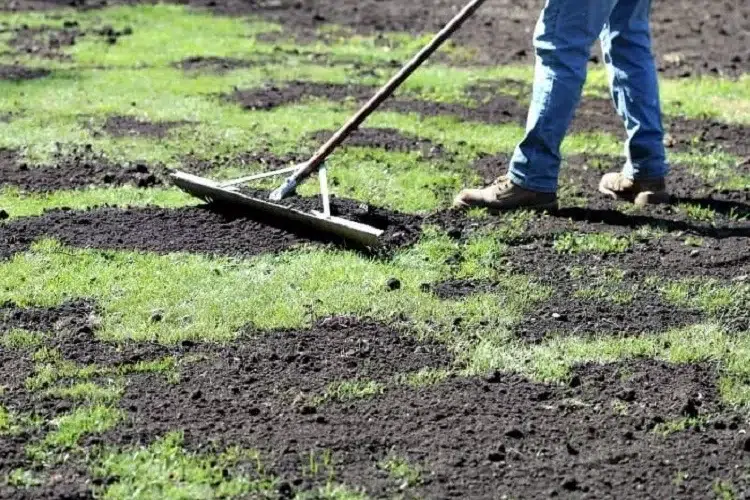 comment mettre du compost pour gazon instructions vidéo