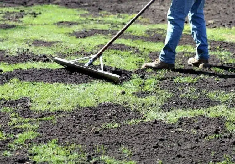 comment mettre du compost pour gazon instructions vidéo