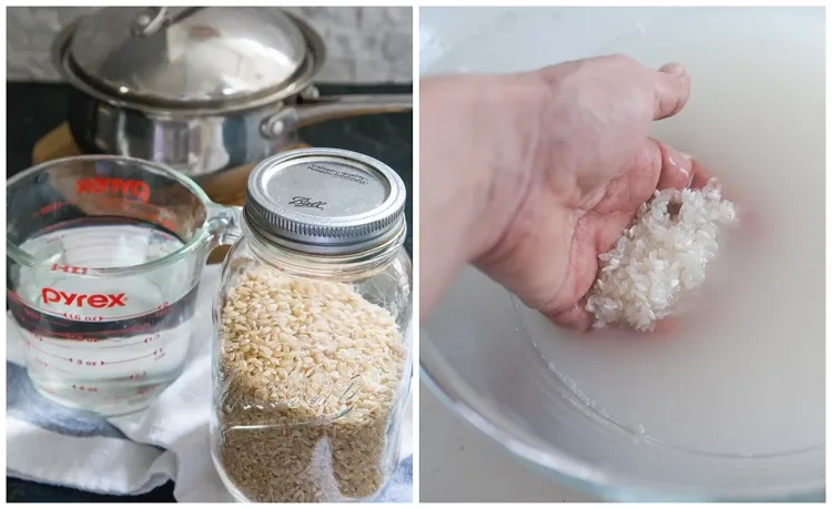 comment préparer eau du cuisson de riz pour booster les courgettes recette engrais naturel fertilisant bio efficace astuce doubler récolte courgette concombre