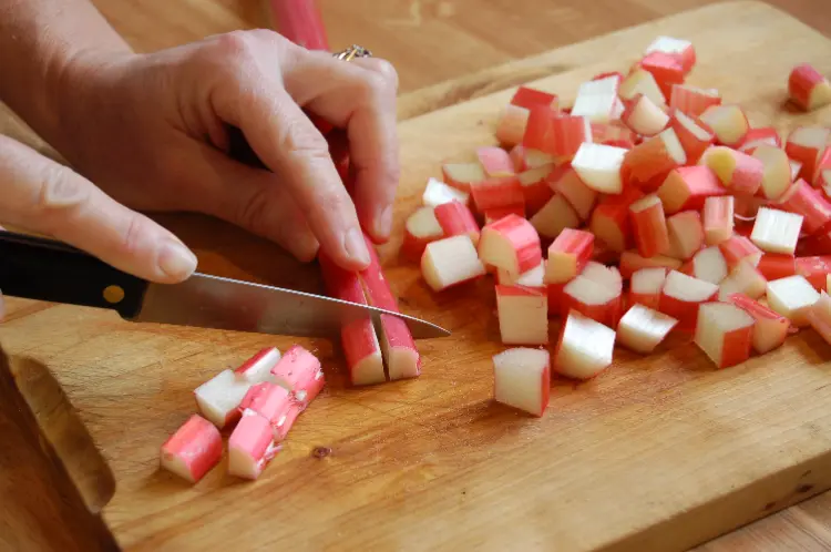 comment préparer tarte à la rhubarbe facile sans creme oeufs quelques étapes