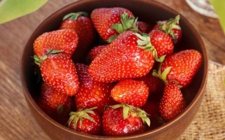 comment récupérer les graines des fraises