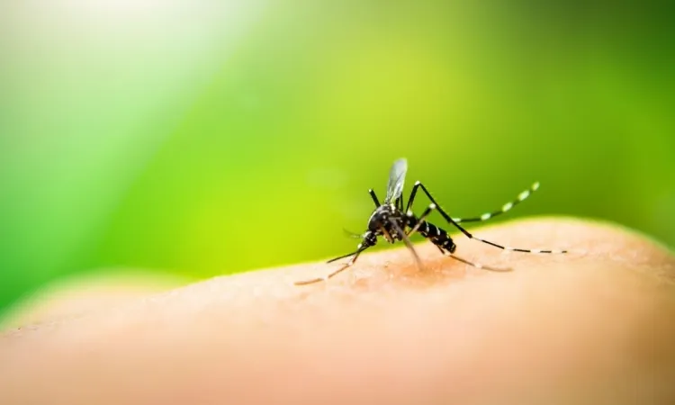 comment repousser les moustiques piqûres nuisibles maladies graves véhiculer
