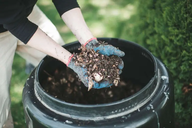 comment savoir si le compost est bon compost obigatoire