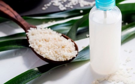 comment utiliser le riz comme un engrais naturel pour les plantes intérieur et extérieur stimuler croissance floraison fleurs quelle plante aime amidon