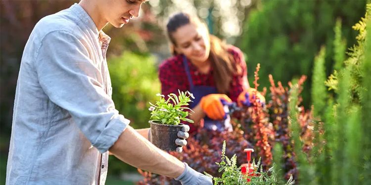 économiser de l'énergie dans le jardin