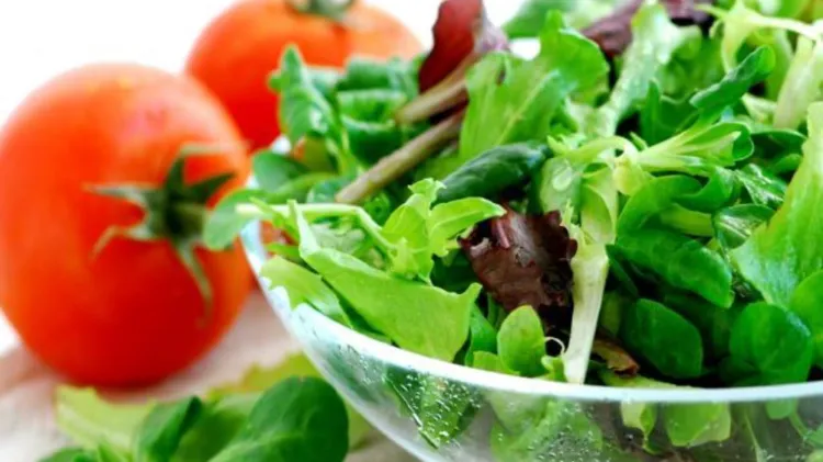 est il possible de manger une salade montée 2023