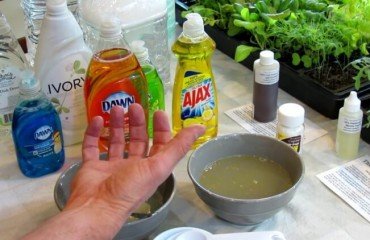 fabriquer un insecticide avec du savon noir appliquer matin fraîcheur éviter brûlure feuilles