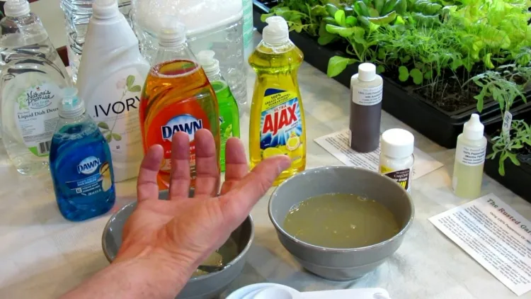 fabriquer un insecticide avec du savon noir appliquer matin fraîcheur éviter brûlure feuilles