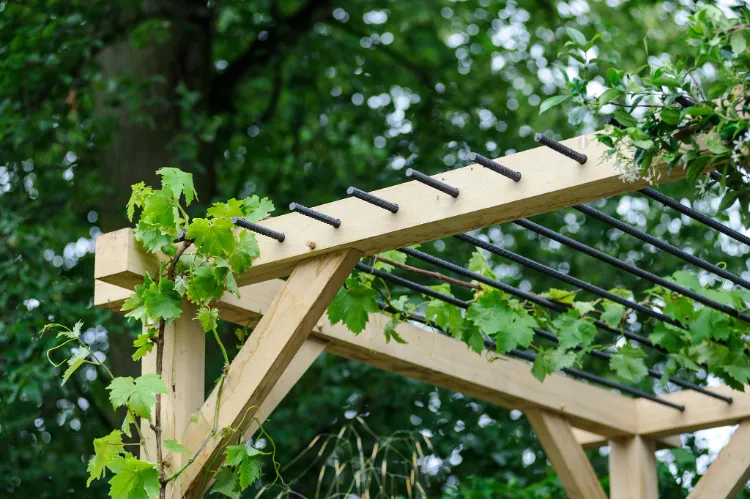 fabriquer une pergola en bois plantes grimpantes astuces anti canicule ombrager jardin créer ombre potager protéger légumes fruits chaleur soleil