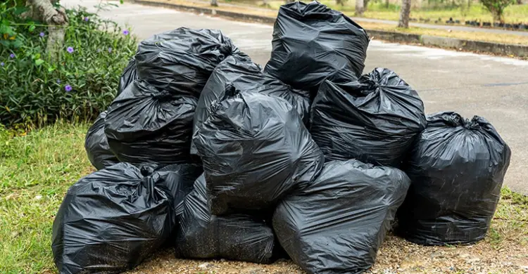 faire du compost sans bac comment