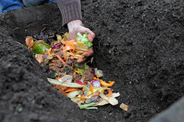 faire du compost sans composteur compostage en tranchées