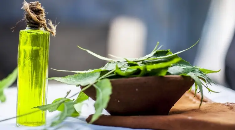 huiles essentielles de neem contre pucerons plantes
