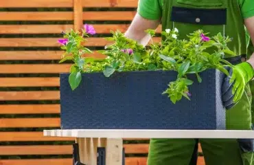 jardinière pour balcon jardinier qui plante des fleurs roses