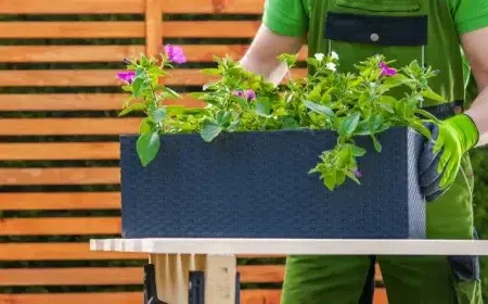 jardinière pour balcon jardinier qui plante des fleurs roses