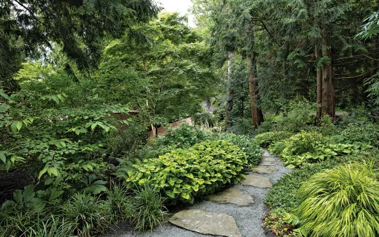 plantes d’ombre jardin rocaille anglais arbustes plantes vivaces paysage aménager