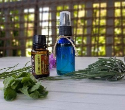plantes et huiles essentielles anti mosquitos en france aromatiques multifonctionnelles rémanentes